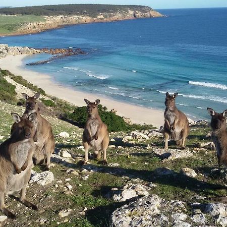 Waves & Wildlife Cottages Kangaroo Island Stokes Bay Eksteriør billede